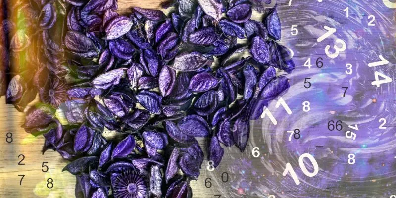 Thần số học trong tình yêu là gì?